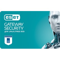 ESET Gateway Security оновлення 1 рік (на період до 31.12.2021)