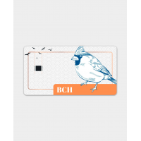 Криптогаманець холодний Tangem Original: BCH